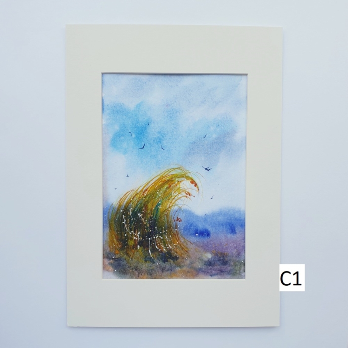 1000_C1