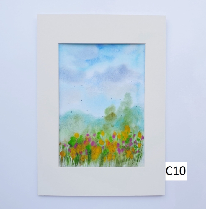 1000_C10