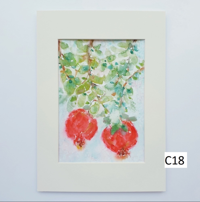1000_C18