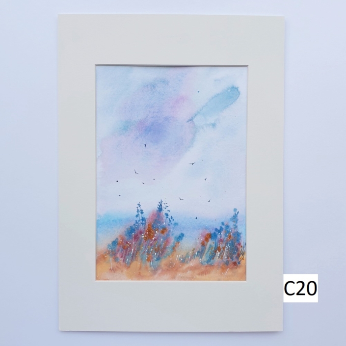 1000_C20